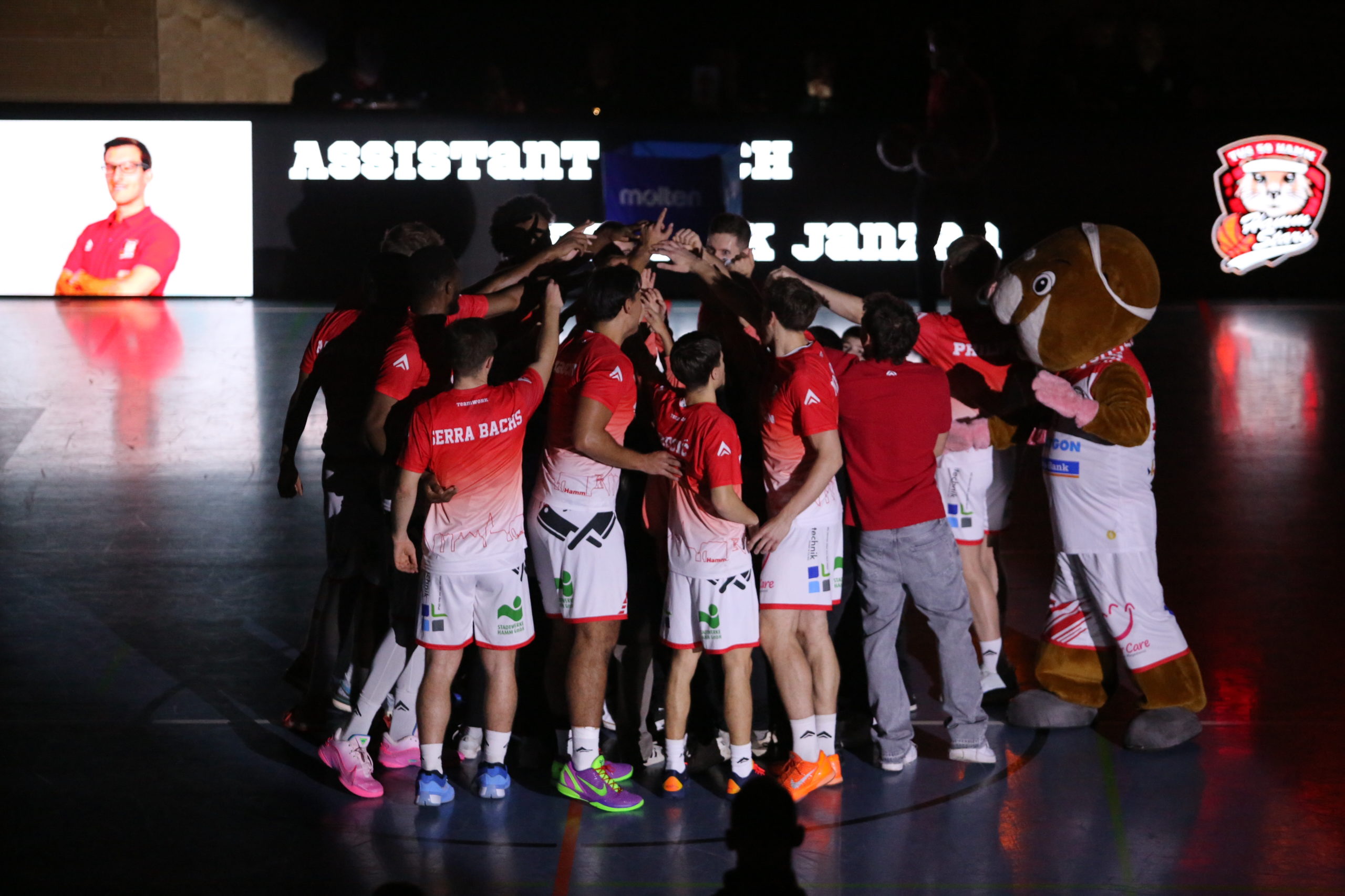 Heimstärke gefragt: HammStars bereit für ein intensives Nachbarschaftsduell gegen Werne