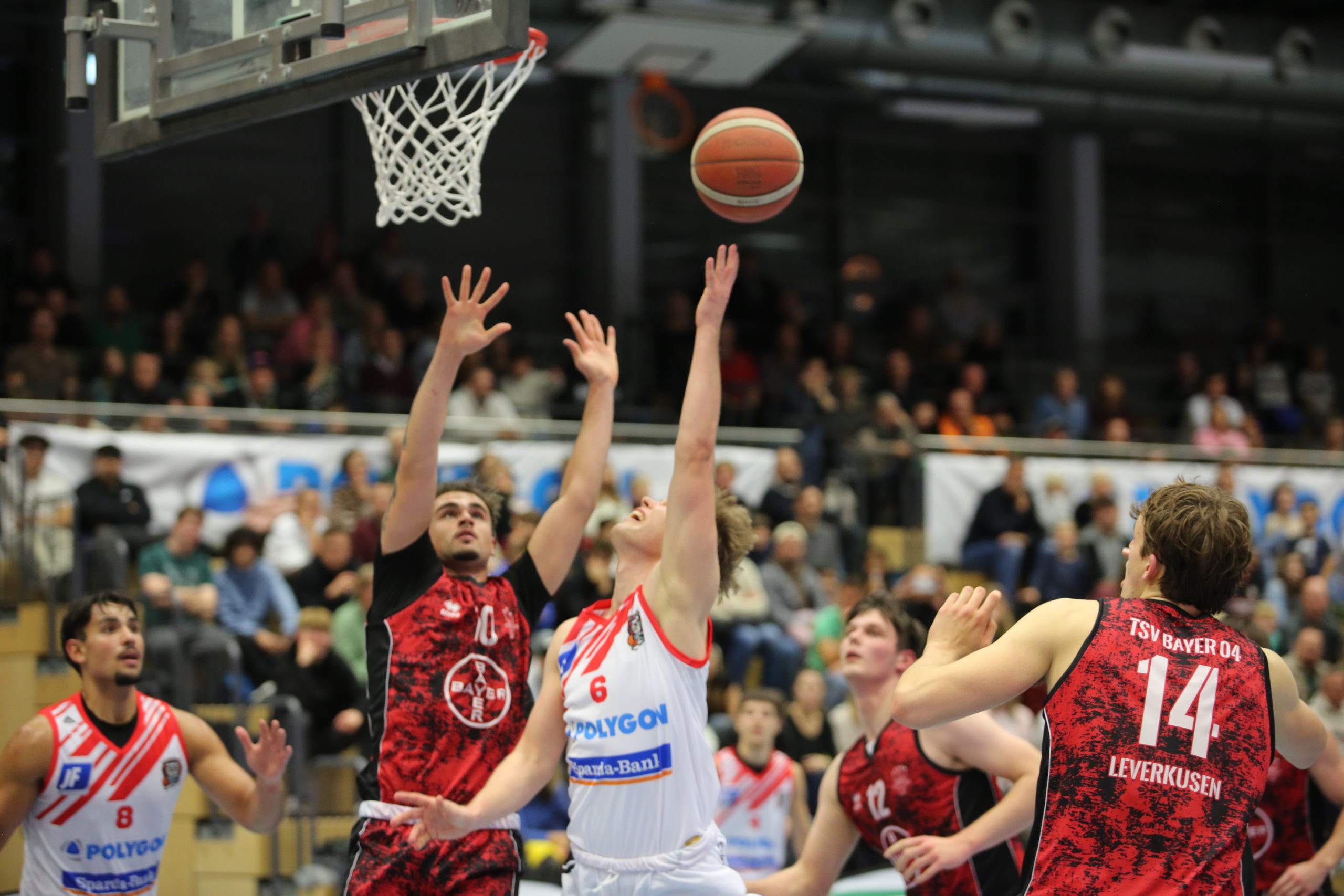Basketballfest in Hamm – HammStars empfangen Tabellenführer Grevenbroich